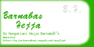 barnabas hejja business card
